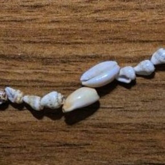 Natural Cowrie Shell Necklace 39" - Picture 7 of 8